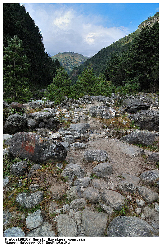 ����, �������, �����, ����������, �������-����, ����, ����, ��������