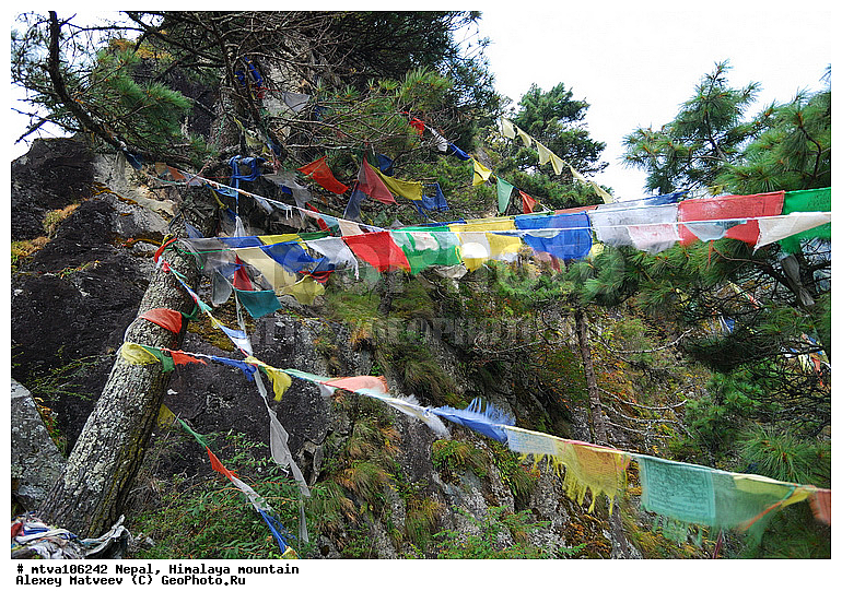 ����, �������, �����, ����������, �������-����, ����, ����, ��������