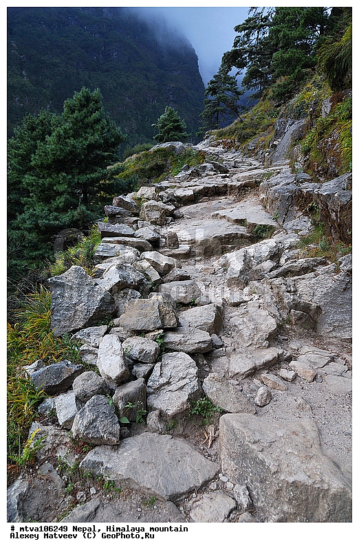 ����, �������, �����, ����������, �������-����, ����, ������, ����, ��������, �����