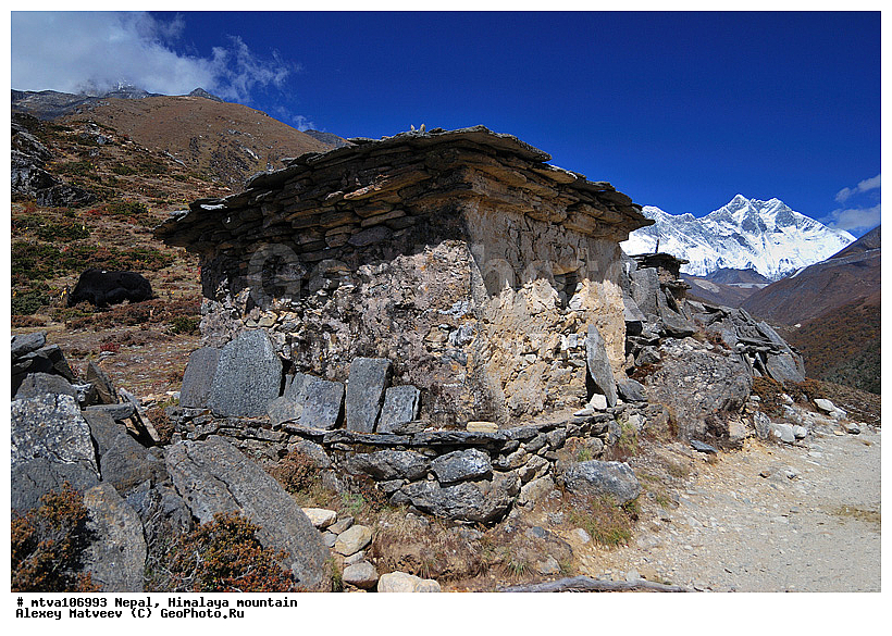 ����, �������, �����������, ������, �����, ����������, �������-����, ����, ����, ��������, �� 