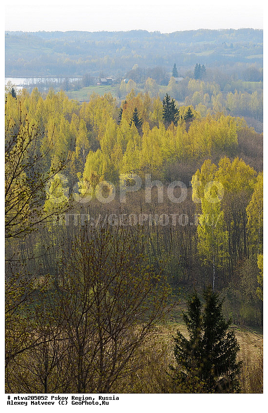 ��������� �������, �������, ��������, ������, �������, �������, ����������� ��������