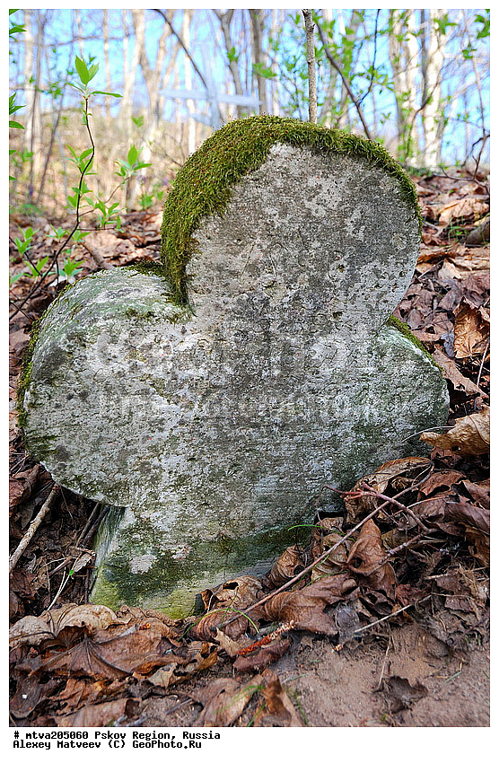  ��������� �������, �������, ��������, ������, �������, �������, ����������� ��������