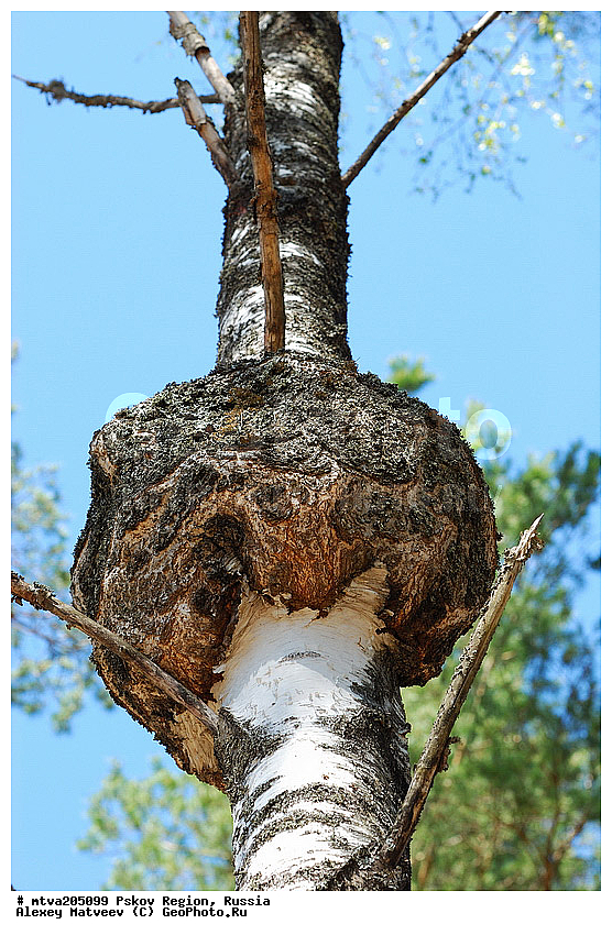  ��������� �������, �������, ��������, ������, �������, �������, ����������� ��������