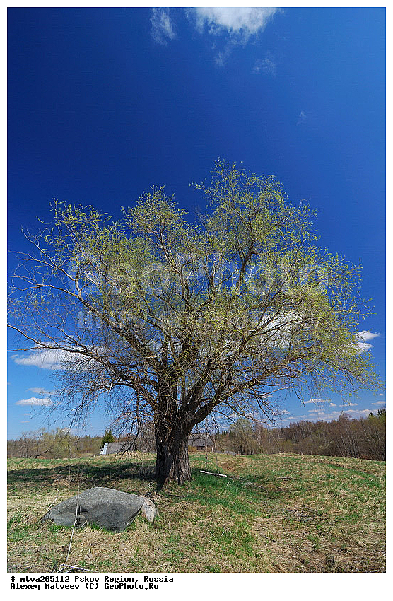 ��������� �������, �������, ��������, ������, �������, �������, ����������� ��������