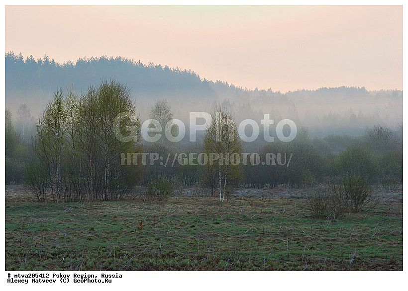 ��������� �������, �������, ��������, ������, �������, �������, ����������� ��������