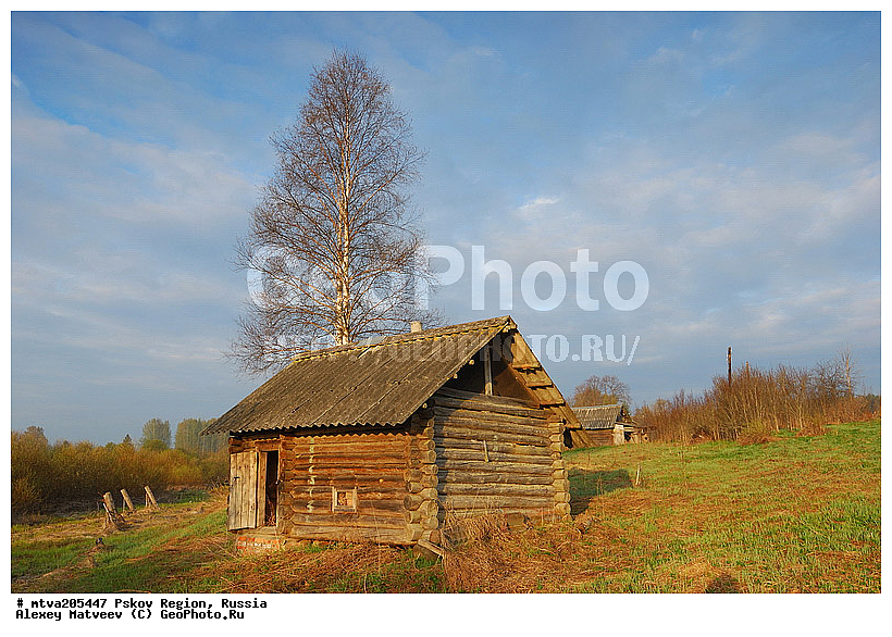 ��������� �������, �������, ��������, ������, �������, �������, ����������� ��������