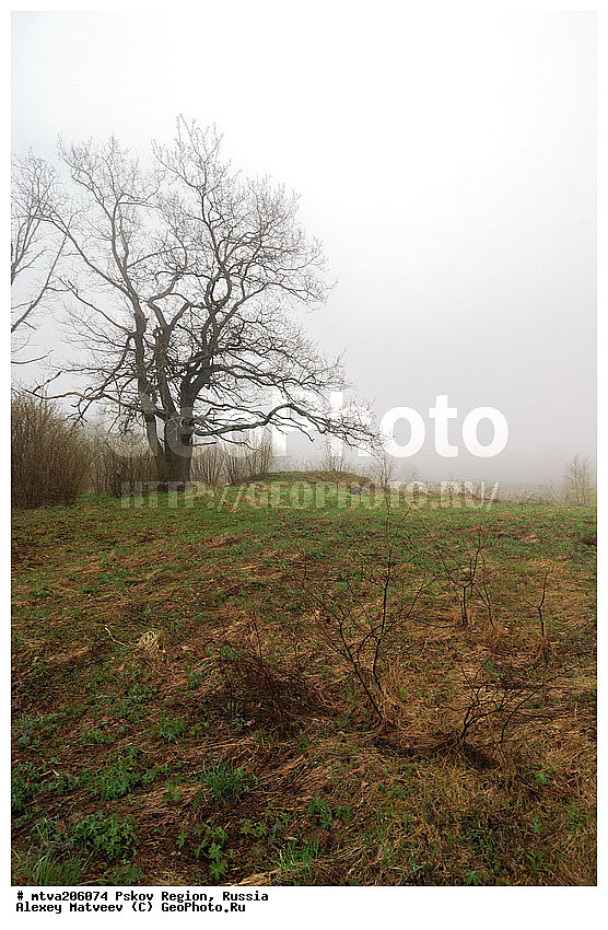 ��������� �������, �������, ��������, ������, �������, �������, ����������� ��������