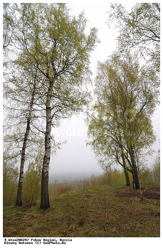  ��������� �������, �������, ��������, ������, �������, �������, ����������� ��������