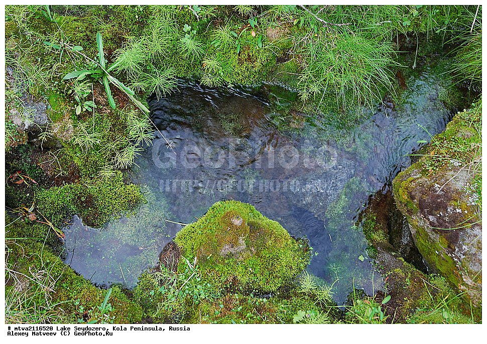 ���������, ����������� ������, �������� ����������, ����, ������, ���������� �������, 2011, ��������