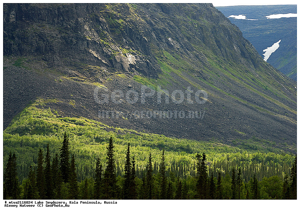 ���������, ����������� ������, �������� ����������, ����, ������, ���������� �������, 2011, ��������