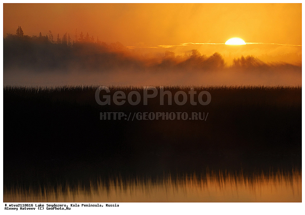 ���������, ����������� ������, �������� ����������, ����, ������, ���������� �������, 2011, ��������