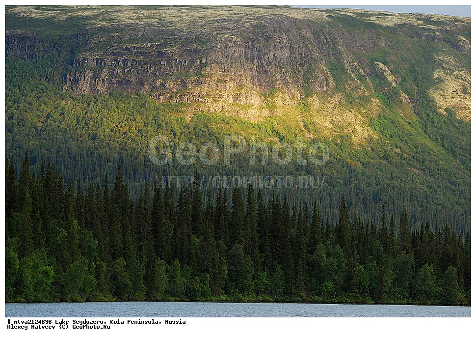  ���������, ����������� ������, �������� ����������, ����, ������, ���������� �������, 2012, 