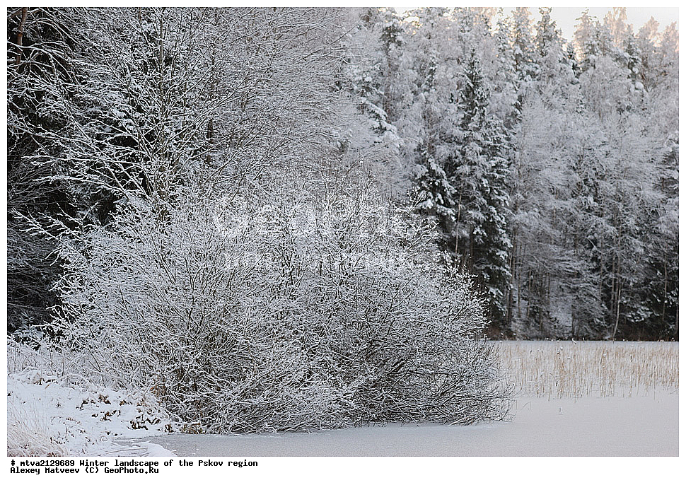 ������, ����,  ������, ��������� �������, �������, �����������, �������, ������ ����, ������ ����