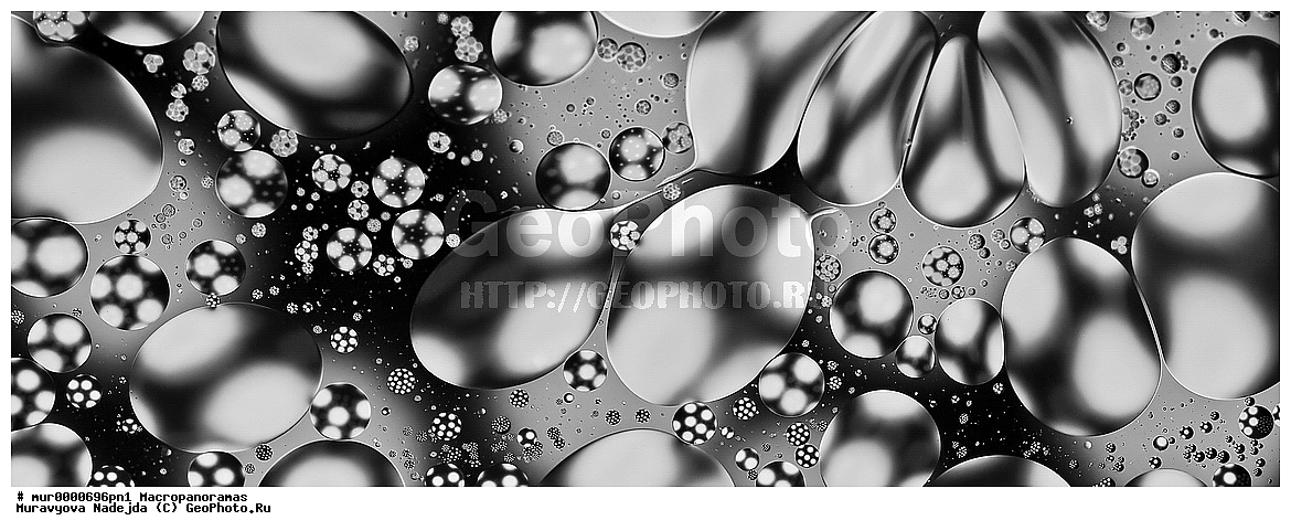 �������������, �������������