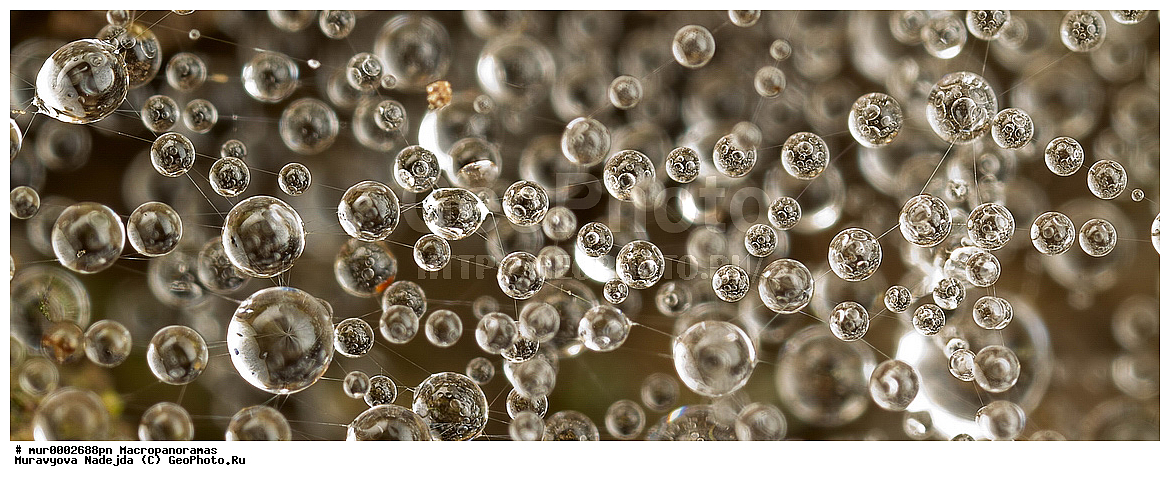 �������������, �������������