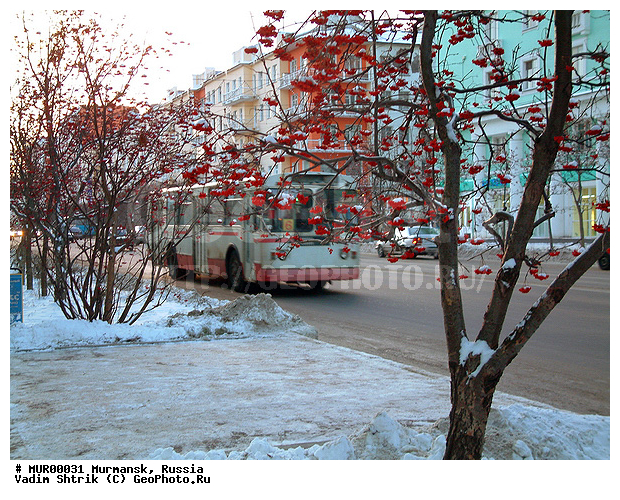 ��������, �����, ��������� ������, ������, �����