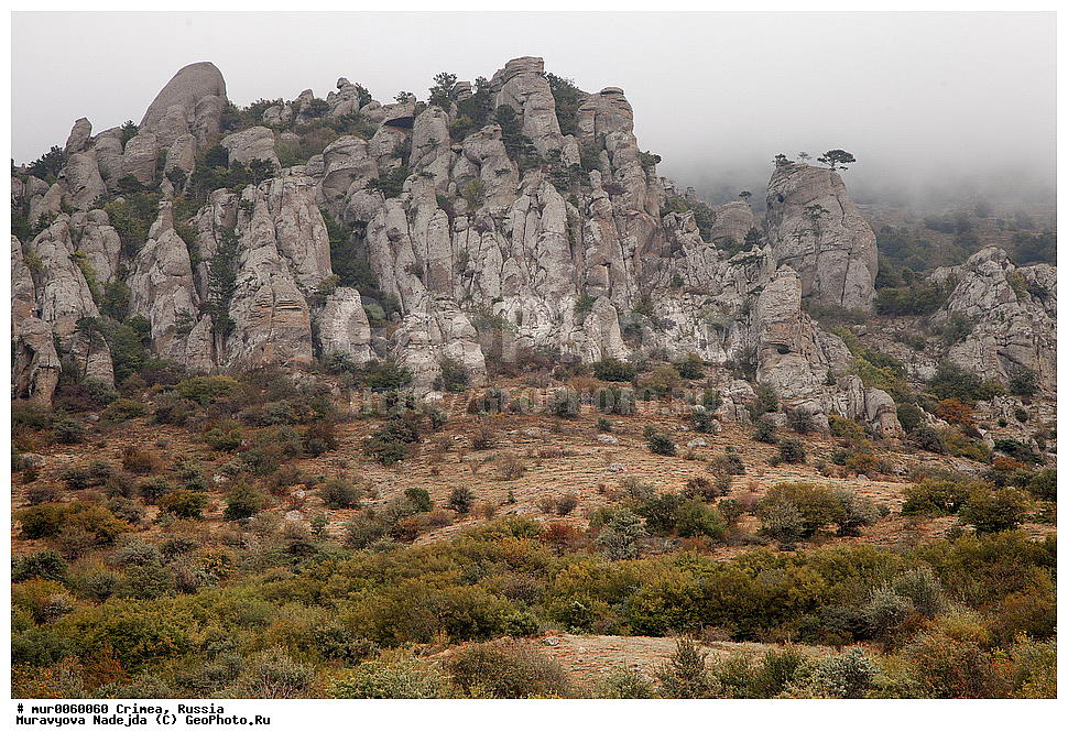 ����, �������� ���������� 