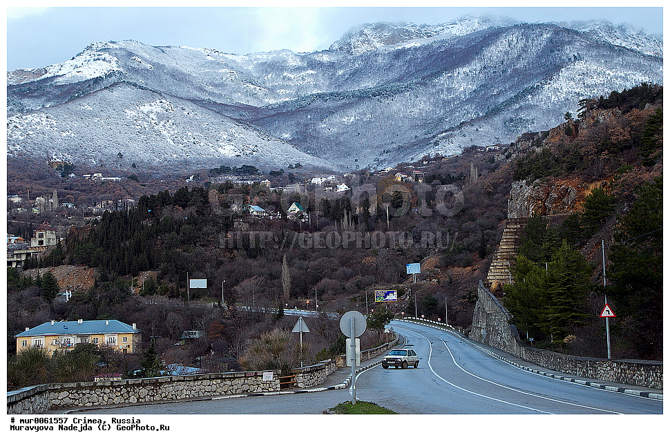 ����, �������� ���������� 