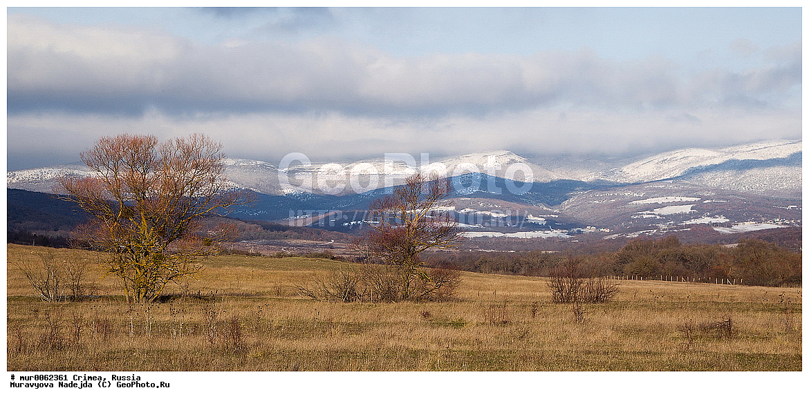 ����, �������� ���������� 