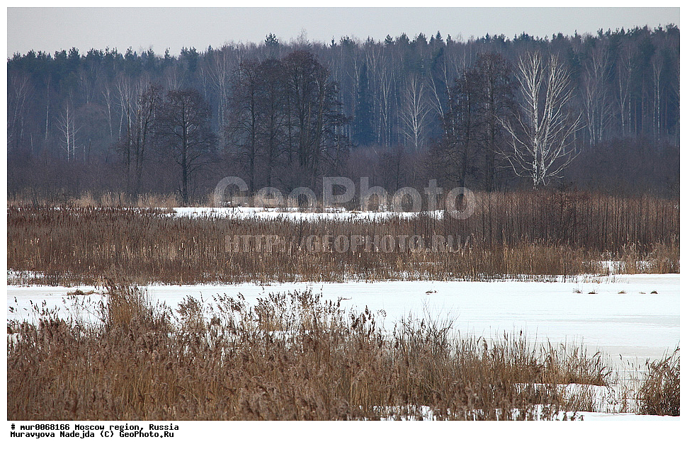 �����������, ���������� �������, ������� ������, ������, ������