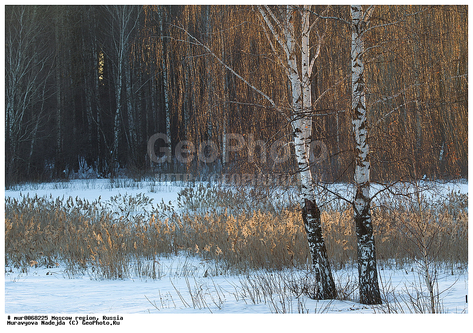 �����������, ���������� �������, ������� ������, ������, ������