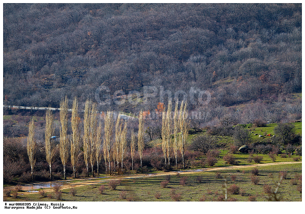 ����, �������� ���������� 