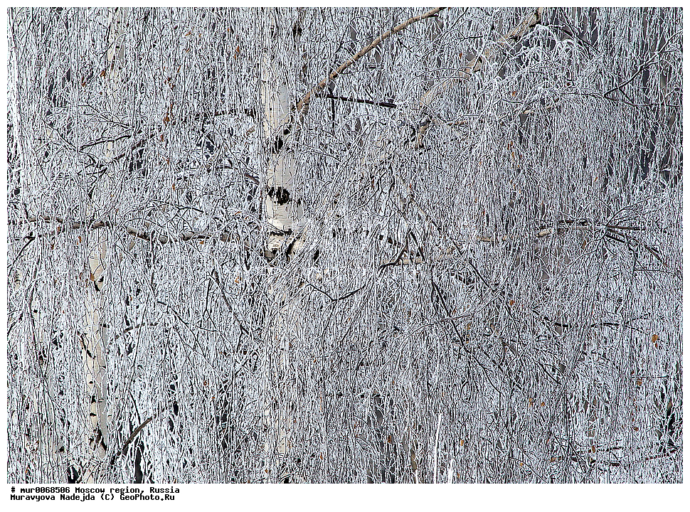 �����������, ���������� �������, ������� ������, ������, ������