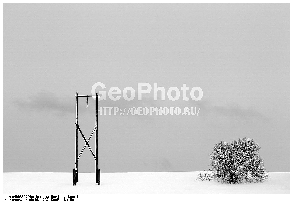 �����������, ���������� �������