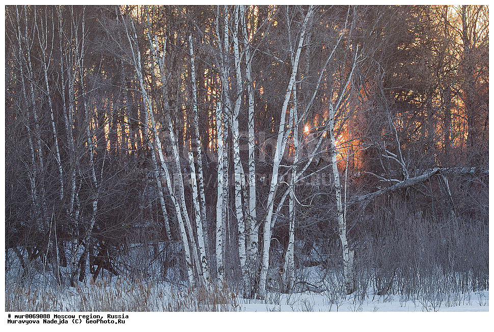 �����������, ���������� �������, ������� ������, ������, ������