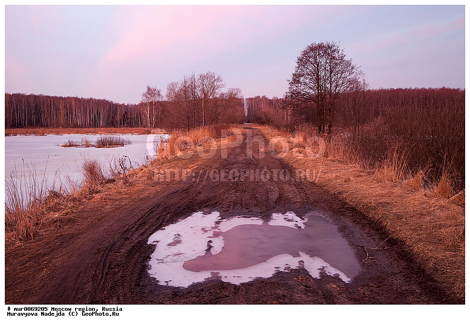 �����������, ���������� �������, ������� ������, ������, ������