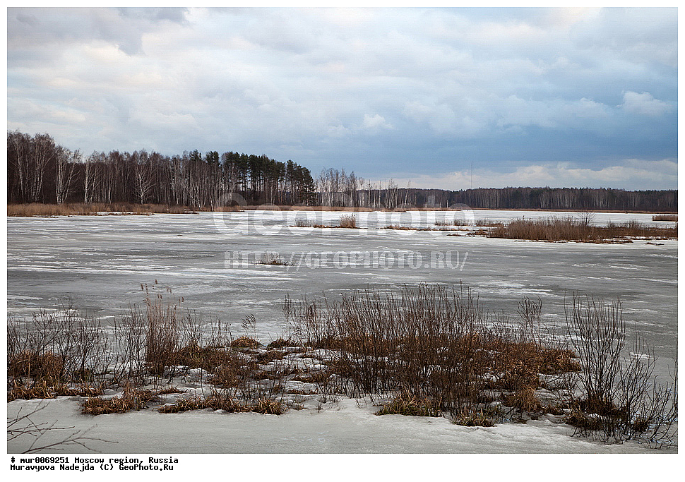 �����������, ���������� �������, ������� ������, ������, ������