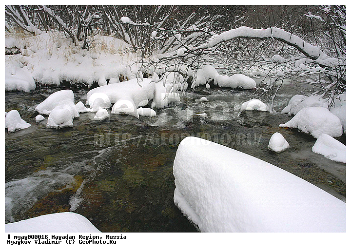 ��������, ���������, ���������, �����������, ������, ����, ����