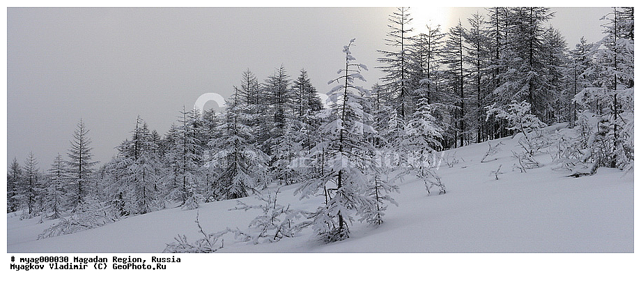 ������, ���������, ��������, �����������, �����, ����, �����