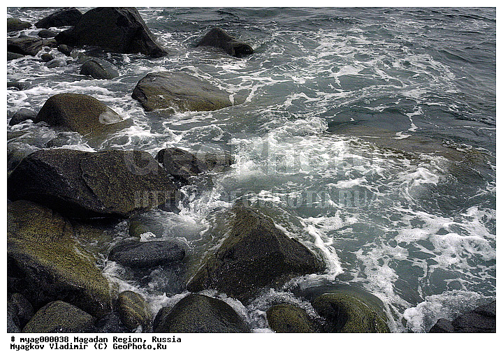 ���������, �����������, ��������, ������, ����, ����