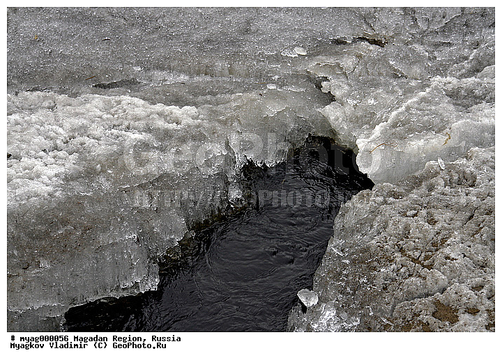 ���������, �����������, �����, ����, ���