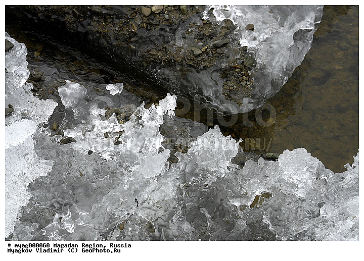 ���������, �����������, �����, ����, ���