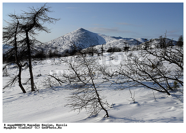 ����, ���������, ���������, �����������, ����