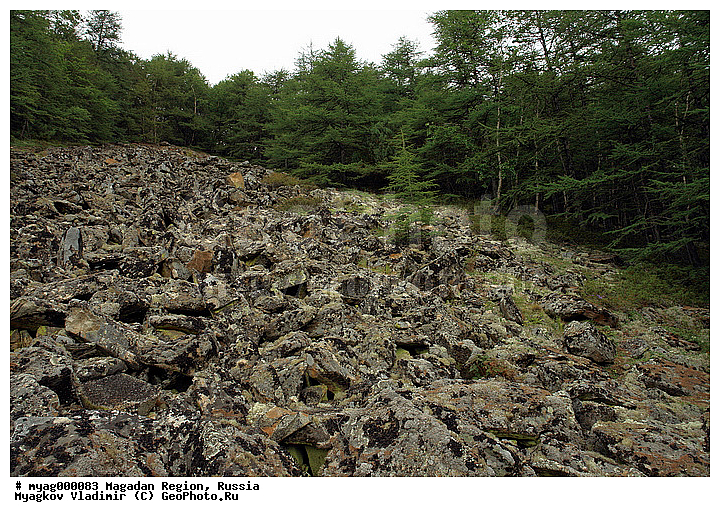 ���������, ���������, �����������, ������, ����