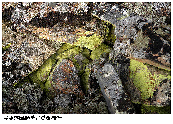 ���������, �����������, ���, �������, ���������, ����, ���������