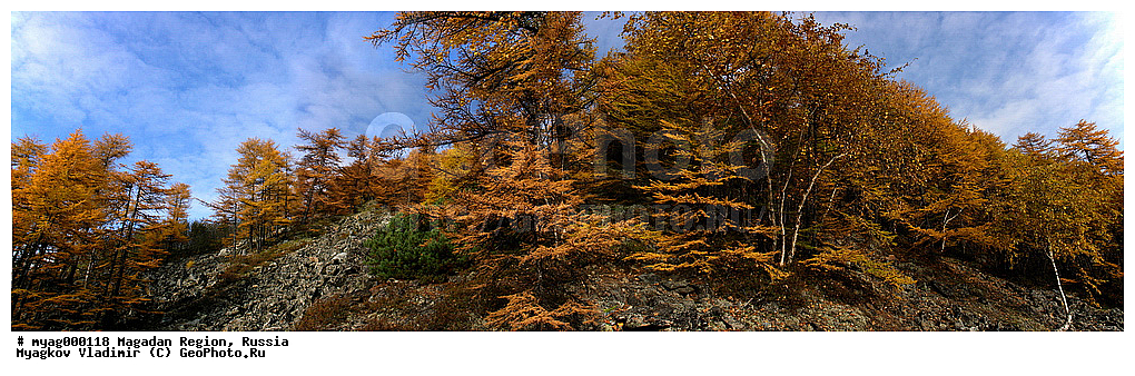 �������, ���������, �����������, ����������, ����, �����, �����