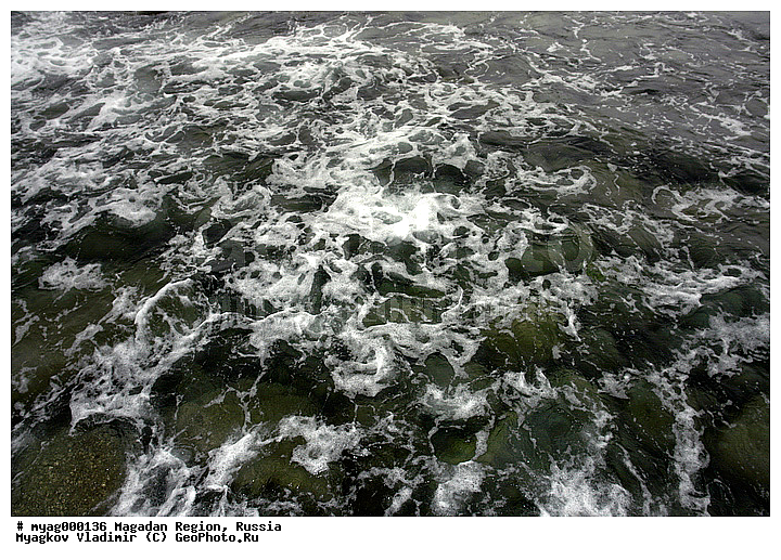 ���������, �����������, ��������, ������, ����, ����