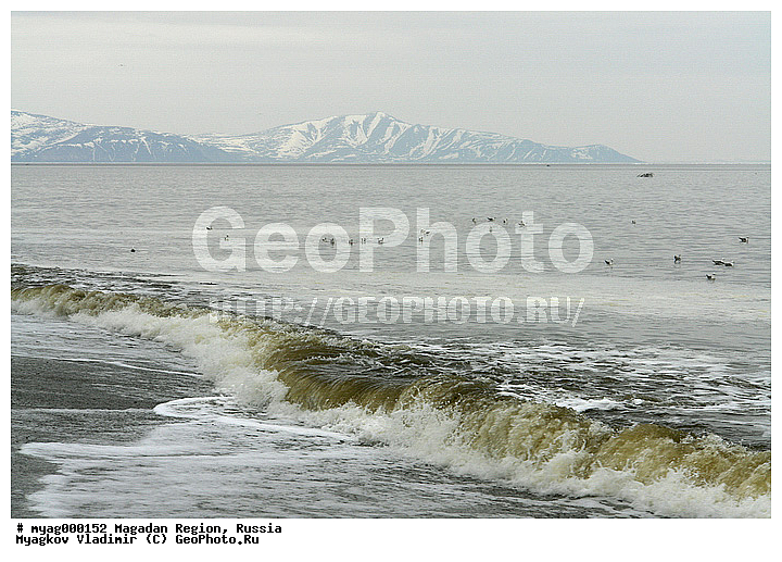 ���������, �����������, ������, ��������, ����, ����