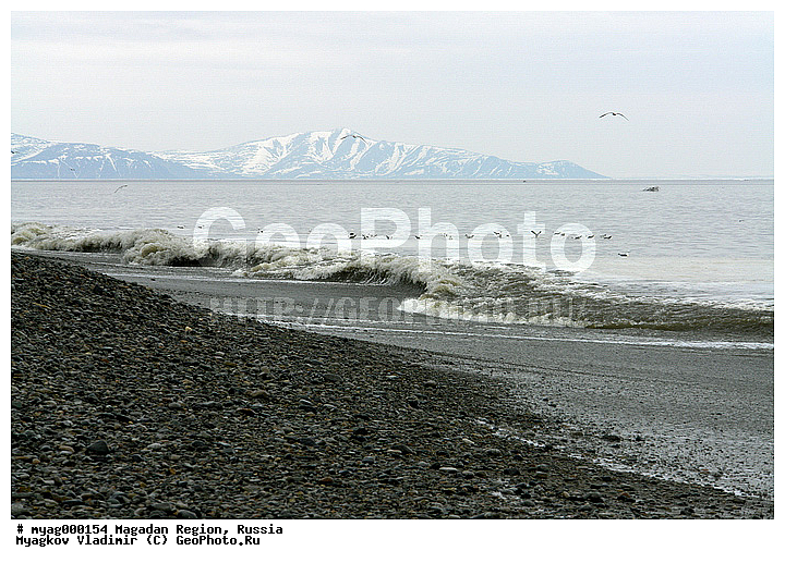 ���������, �����������, ������, ��������, ����, ����