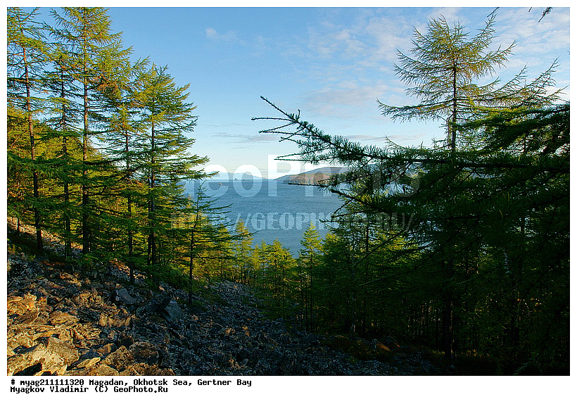 ����� ��������, ���, �������, �������� ����, ����, �����, ����