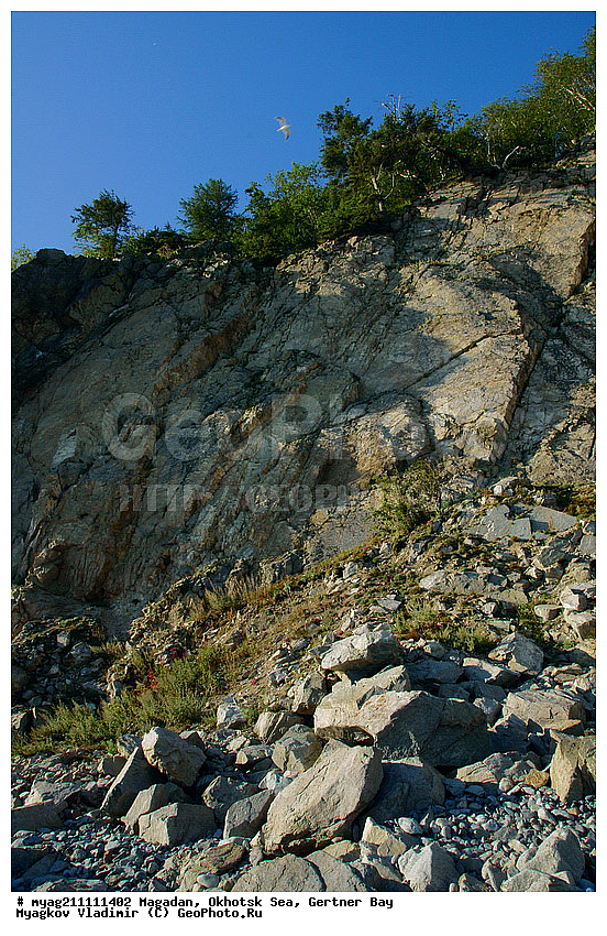 ����� ��������, ���, �������, �������� ����, ����, �����