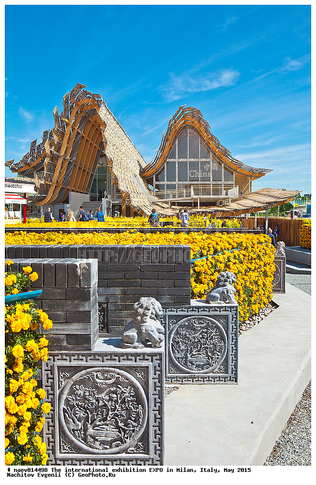 ��������, EXPO, �����, ������, ���, �����, 2015, �����