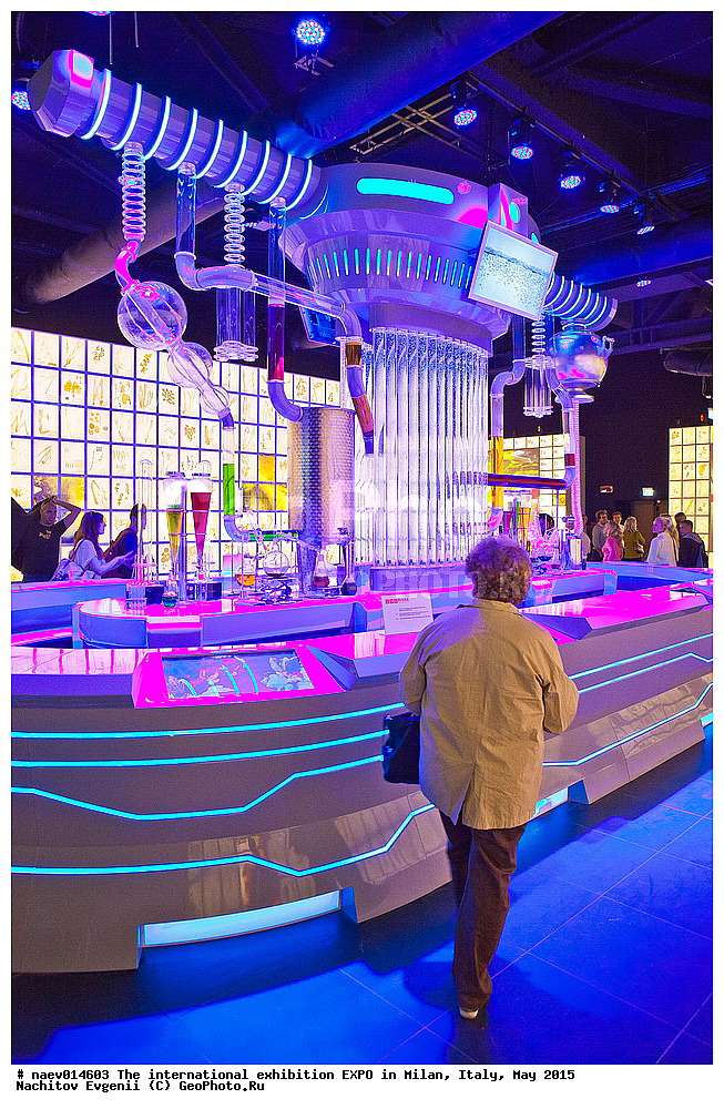 ��������, EXPO, �����, ������, ���, �����, 2015, ������