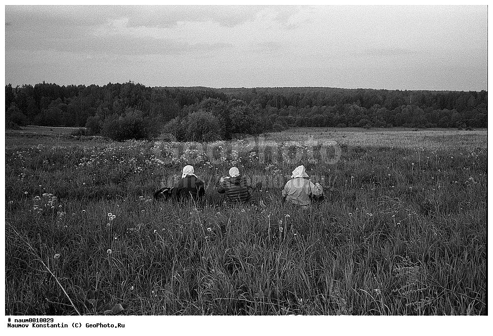 ���������, ��������� �����