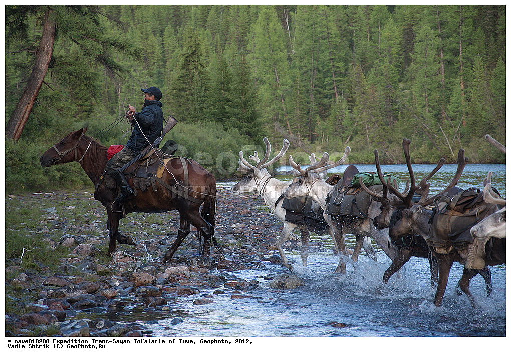 ����������, �����-�����, �� ��������� � ����, �������, 2012, ����, ��������� �������, ������, ����������