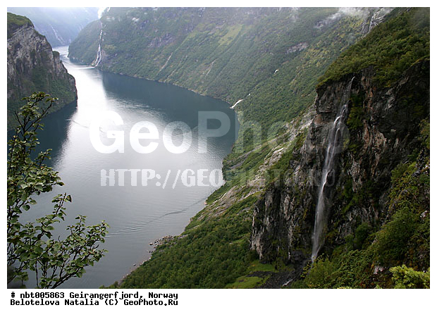 ��������������, ��������, �����